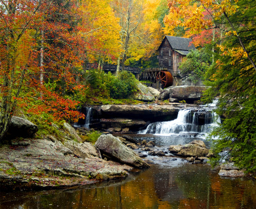 Sanders & Sanders fotobehang bosrijk landschap groen, geel en oranje - 360 x 270 cm - 600485 - vtwonen shop