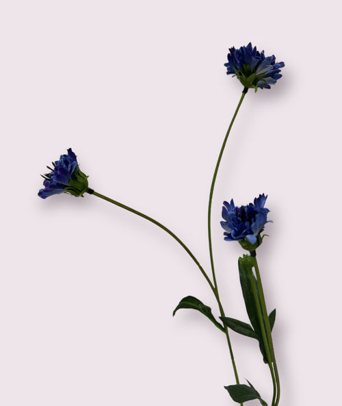 My Flowers.shop Blauwe zijden korenbloem | Lengte 59 centimeter | Per stuk - vtwonen shop