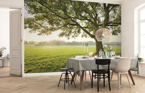 Sanders & Sanders fotobehang natuurmotief groen - 450 x 280 cm - 612671