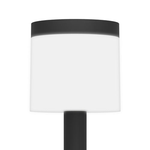 EGLO Floor lamp LED outdoor Riforano, 2-light outdoor floor lamp EGLO Floor lamp LED outdoor Riforano, 2-light outdoor floor lamp