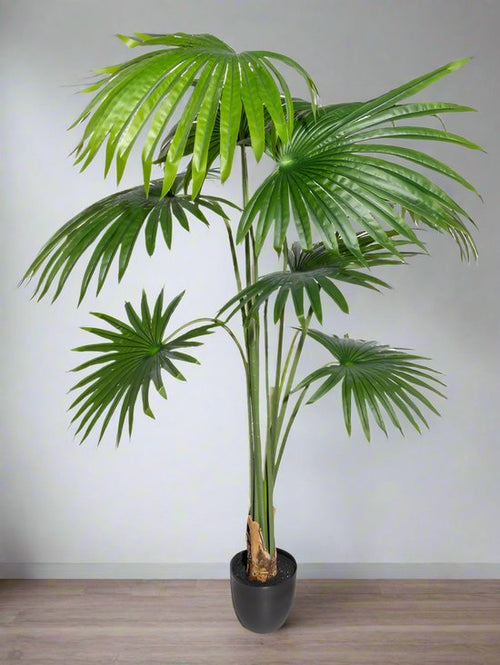 Flourify kunstplant - Washingtonia palm - 150 cm - vtwonen shop