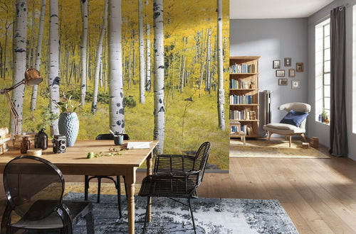 Sanders & Sanders fotobehang bos geel en groen - 400 x 250 cm - 612536