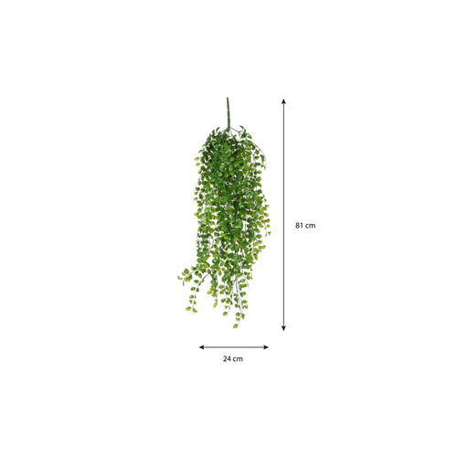 Mica Decorations Ficus Kunst Hangplant - H81 cm - Groen