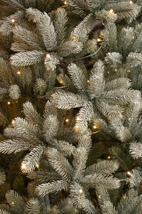 Black Box Trees Nagoya kerstboom led groen frosted 80L TIPS 480 en timer & dimmer - h120xd79cm