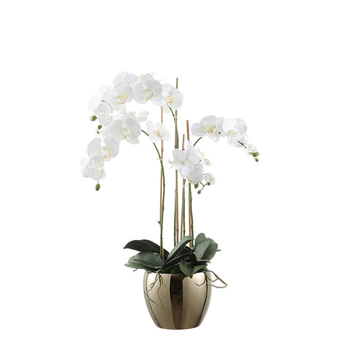 Sia Deco Orchidee Compositie Met Vaas - wit - goud - H79 - vtwonen shop