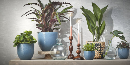 Mica Decorations Lilou Vaas - H31 x Ø22 cm - Gerecycled Glas - Transparant - vtwonen shop