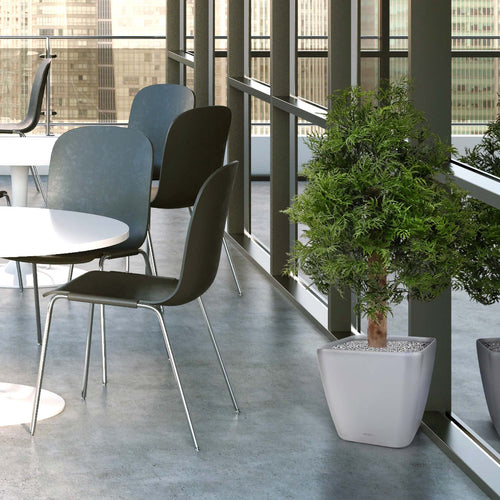 Maxifleur Ming Aralia kunstplant 90cm - UV bestendig