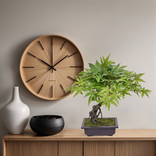 Maxifleur Acer Kunst Bonsai 50cm groen