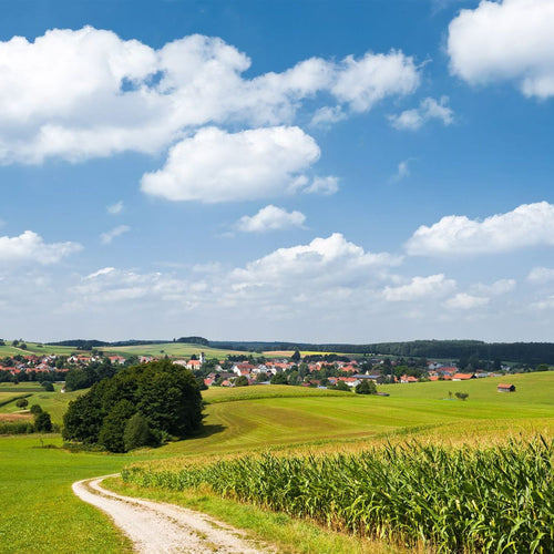 Sanders & Sanders fotobehang natuurmotief groen en blauw - 350 x 280 cm - 612591