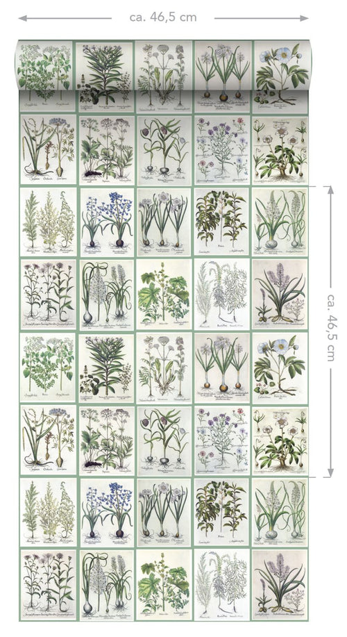 ESTAhome XXL behang bladzijden botanisch bloemen en planten boek licht warm grijs en groen - 50 x 900 cm - 158826 - vtwonen shop
