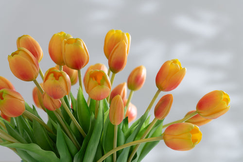 J-Line bloemenboeket Tulpen 7 stuks - kunststof - oranje/geel - large