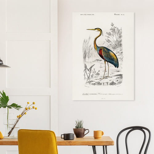 Artfulprints  Charles Dessalines d'Orbigny - Purple heron (Ardea purpurea)   poster A4 21x29.7 cm - vtwonen shop