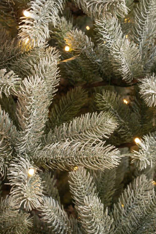 Black Box Trees Nagoya kerstboom led groen frosted 80L TIPS 480 en timer & dimmer - h120xd79cm