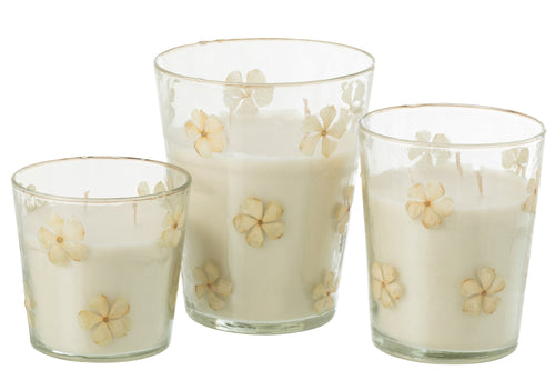J-Line geurkaars Bloemen - Tender Rose - glas - transparant - large - 75U