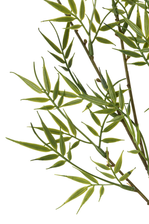 J-Line bamboetak Fijn 3 Delig - kunststof - groen - 12 stuks - vtwonen shop