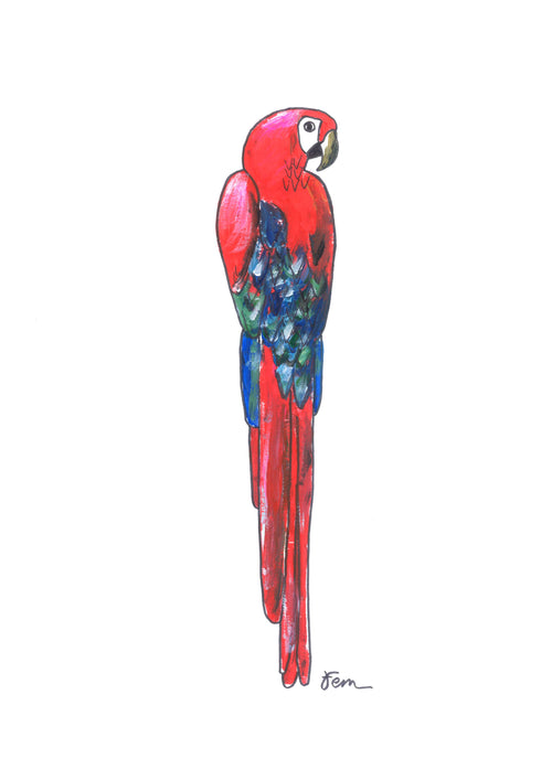 Catchii poster Papegaai Rood - meerkleurig - 297x210 cm