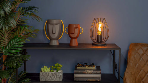 EGLO tafellamp Newtown - e27 - 23 cm - zwart