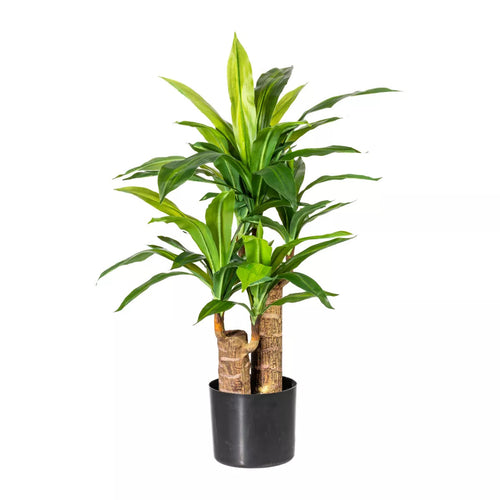 Flourify kunstplant - Dracaena - 80 cm