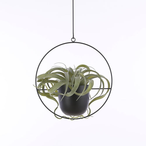 Mica Decorations Dexter Hangpot - L34 x B14 x H65 cm - Zwart