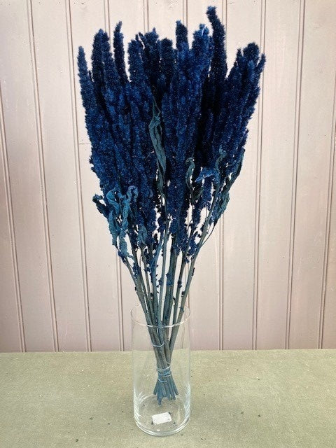 My Flowers.shop Donkerblauw gedroogde Amarant | Donkerblauwe Amaranthus Cruentus droogbloemen | Lengte ± 60 cm | Per bos - vtwonen shop