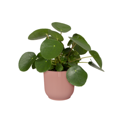 elho vibes fold rond 35 delicaat roze | Bloempot | Modern decoratief ribpatroon