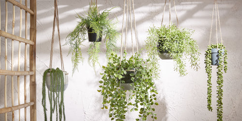 Mica Decorations Ficus Kunst Hangplant in Pot - H46 x Ø20 cm - Groen - vtwonen shop