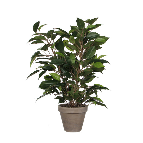 Mica Decorations Ficus Natasja Kunstplant in Bloempot Stan - H40 x Ø30 cm - Groen