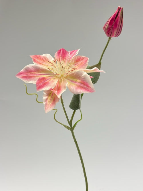 My Flowers.shop Roze clematis zijden bloem | Lengte 45 centimeter | Per stuk - vtwonen shop