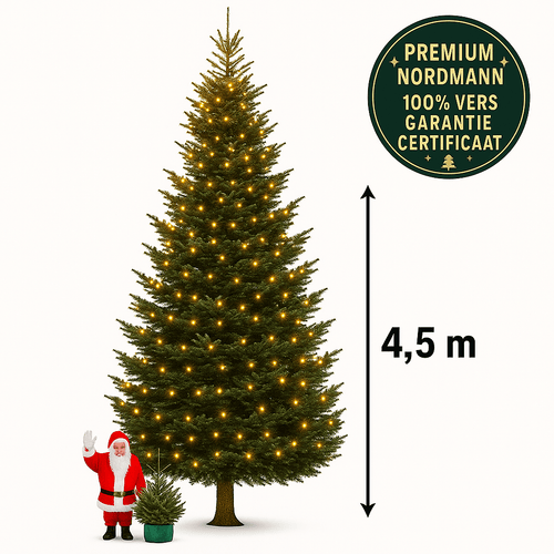 Furnilux Nordmann Kerstboom 400 - 450 cm - Zonder Kluit - XXL - vtwonen shop