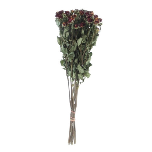 My Flowers.shop Tien gedroogde geel-rode trosrozen | Lengte 50 centimeter | Per bos te bestellen - vtwonen shop