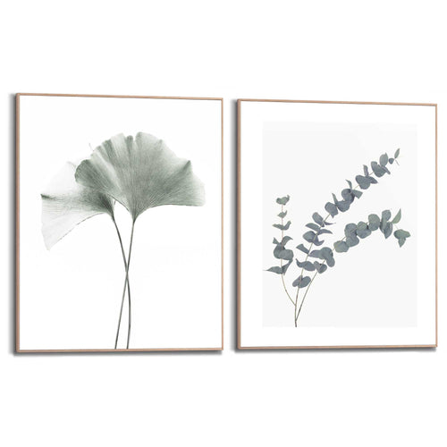 Reinders Ginkgo Eucalyptus schilderijen set -  groen - slaapkamer - 50x40cm