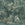 Sanders & Sanders behang bladeren lichtgrijs - 53 cm x 10 m - 640996