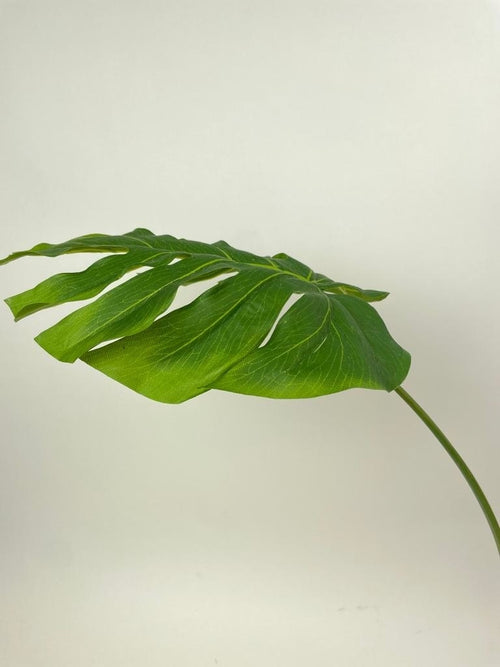 My Flowers.shop Groen monstera blad zijden bloem | Lengte 85 centimeter | Per stuk - vtwonen shop