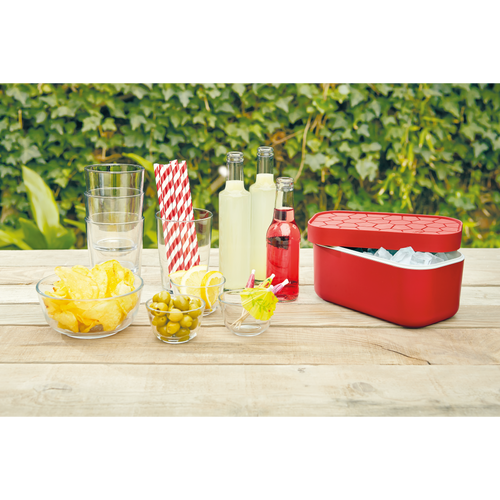 Lékué IJsblokjesvorm met bewaardoos