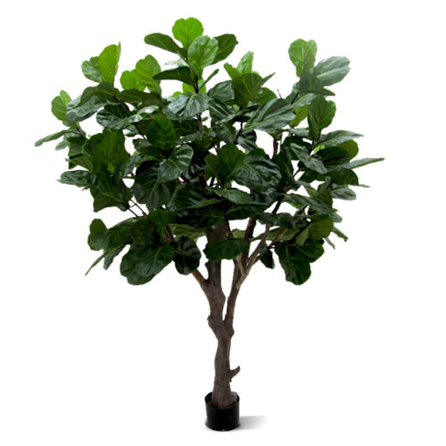 Maxifleur Lyrata Giant deluxe kunstboom 260cm