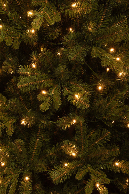 Black Box Trees Harma Pilar kerstboom led groen warm wit 240L TIPS 861 en timer & dimmer - h215xd66cm