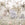 Sanders & Sanders fotobehang jungle dieren meerkleurig - 318 x 275 cm - 640879