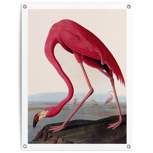 Reinders tuinposter Flamingo - 80x60cm