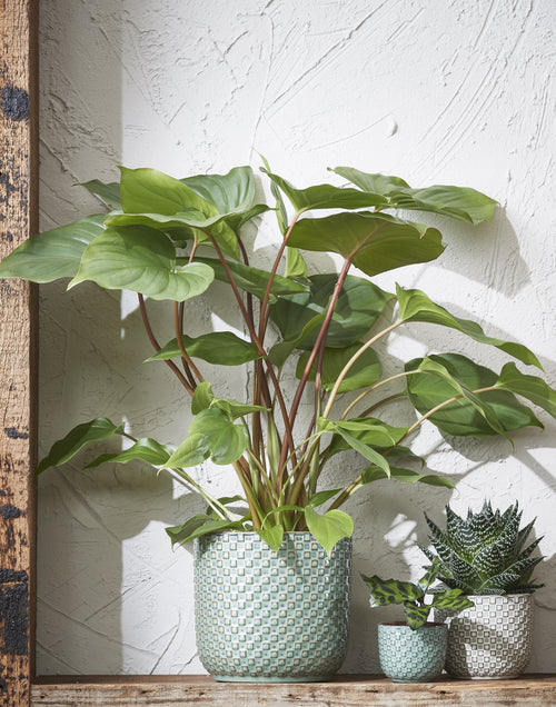 Mica Decorations Daan Bloempot - H18 x Ø19 cm - Groen