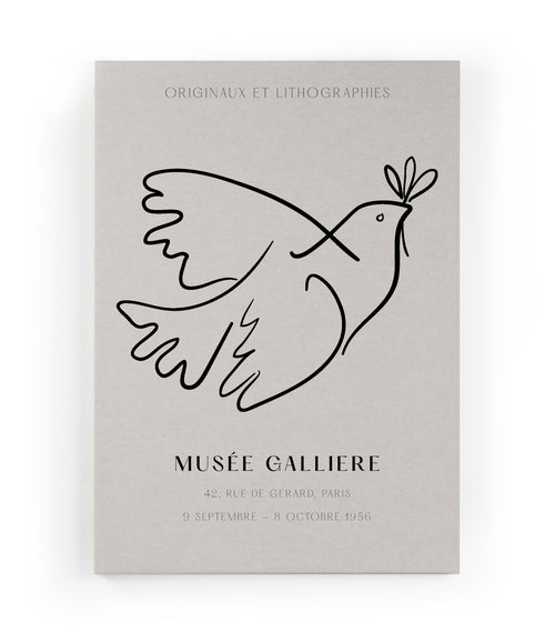 Canvas 60x40 Afdruk Picasso Duif