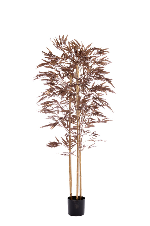 Light & Living kunstplant BAMBOO - 180x100x180cm - brons