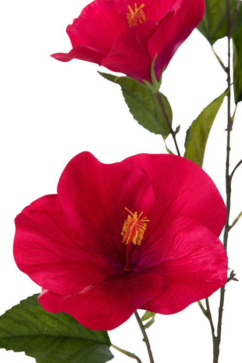J-Line bloem Hibiscus Sproeier - kunststof - fuchsia - vtwonen shop