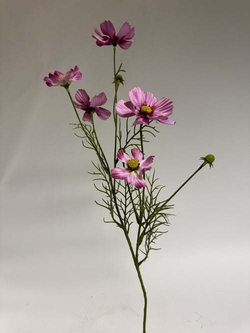 My Flowers.shop Roze cosmea zijden bloem | Lengte  72 centimeter | Per stuk - vtwonen shop