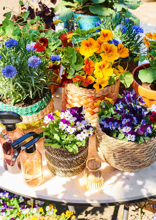 Mica Decorations Jorck Plantenmand - H24 x Ø26 cm - Zeegras - Lichtbruin