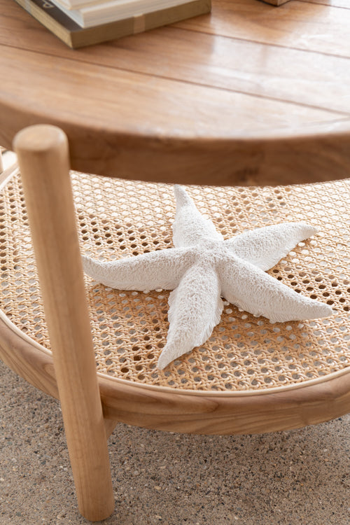 J-Line kaars Zeester - wit - large - 3U - vtwonen shop