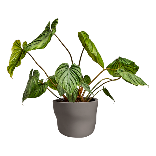 elho mura 40 burnt umber | Bloempot | Premium statementdesign
