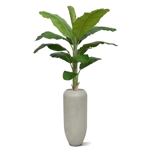 Maxifleur Banaan Royal kunstboom 210cm