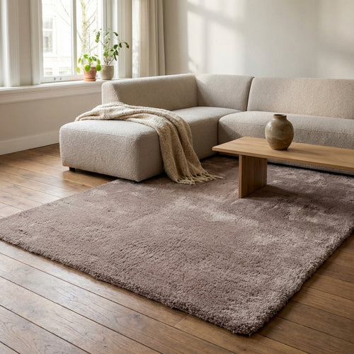 DÉJA Living Vloerkleed Civar - Taupe Stof - 200x290cm