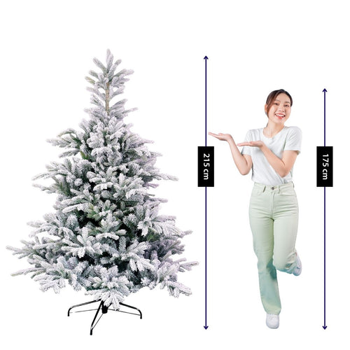 Black Box Trees Grimshaw Boom - Kerstboom met Frosted Sneeuweffect - Kerstversiering voor Binnen in Huis - Kunstboom met Scharnierconstructie - H215 x