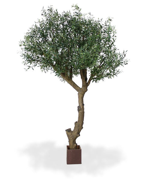 Maxifleur Olijf Giant Y stam kunstboom 270cm